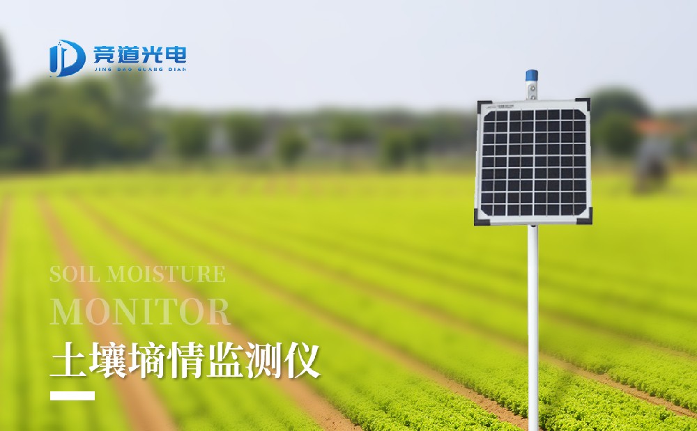 管式土壤水分丈量仪 管式土壤水分丈量仪