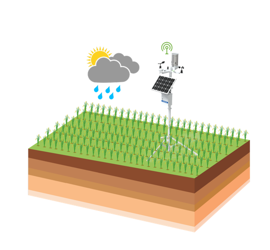 旺财28官网-追求康健,你我一起生长