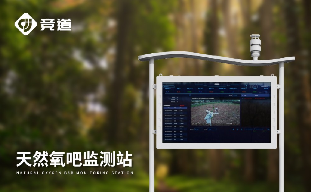 �������Ӽ��ϵͳ