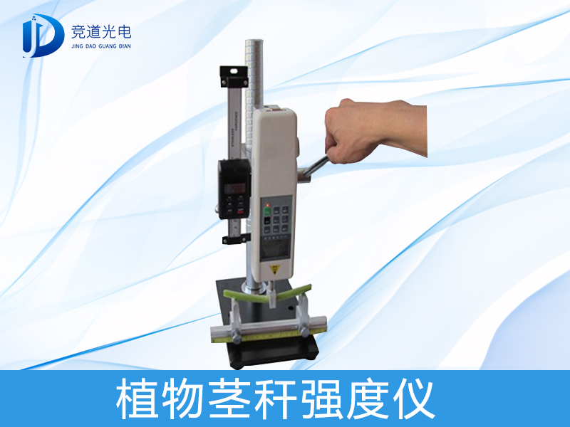 Ϊʲôоֲﾥǿ