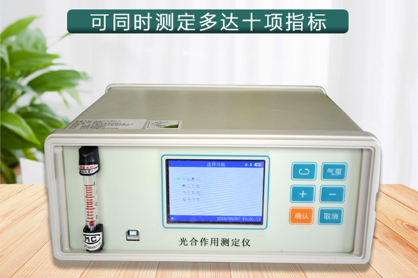 光合仪剖析叶绿素在光相助用中的作用