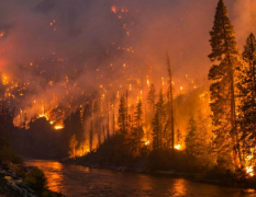 JD-SLQX森林气象站提防森林火灾